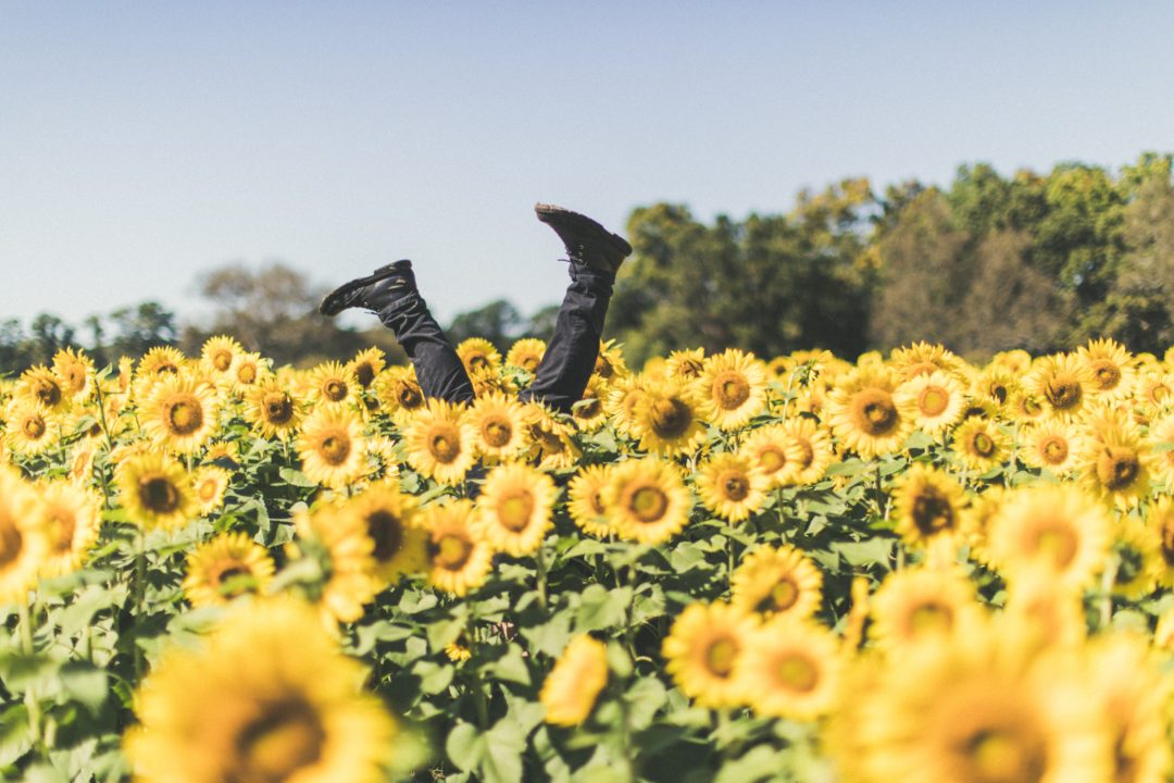chasing happiness